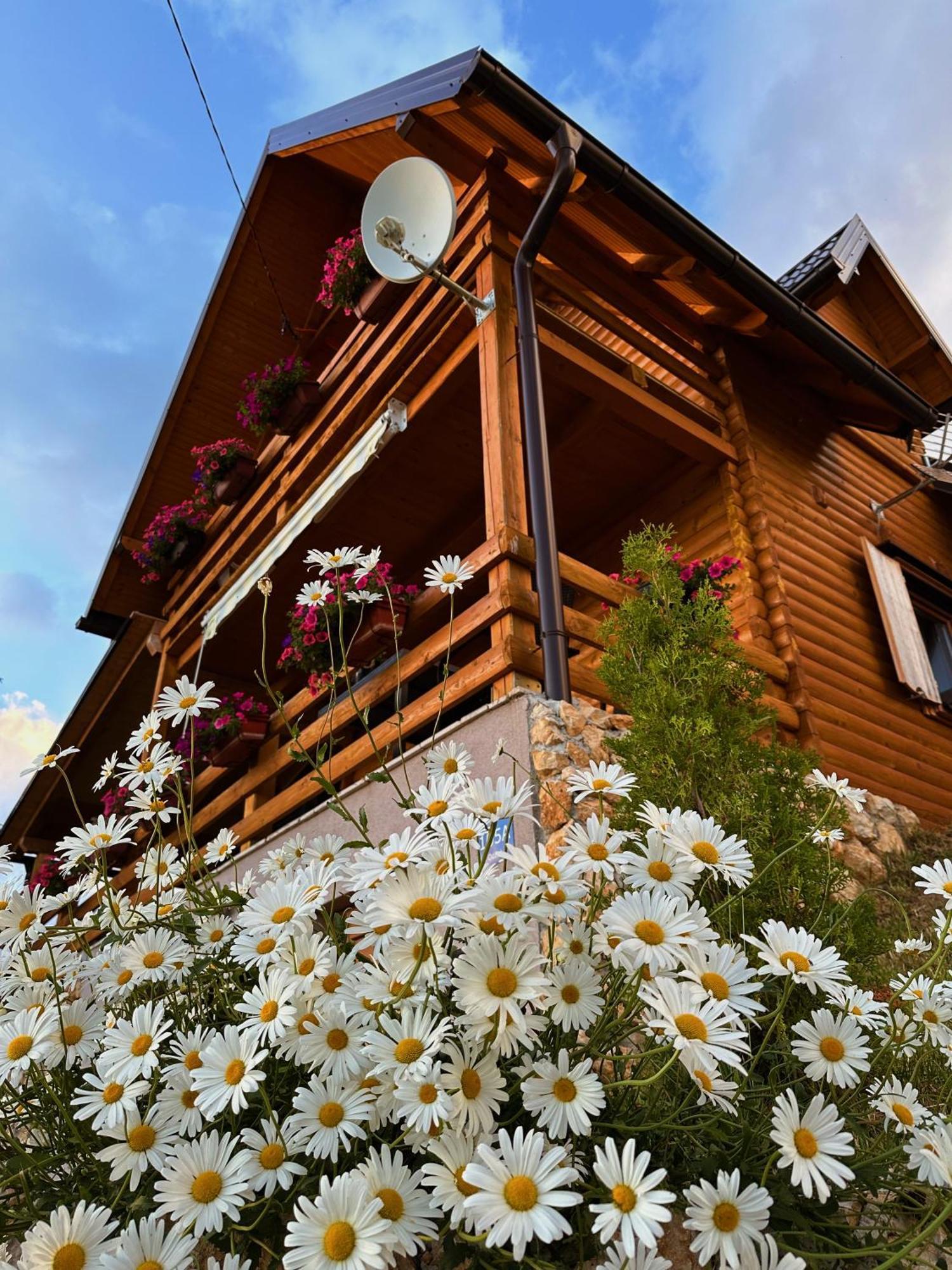 Casa Mia Resort クープレス エクステリア 写真